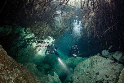 Divers in the mangroves